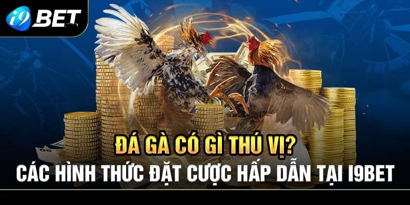 Thông tin giới thiệu sảnh đá gà I9BET